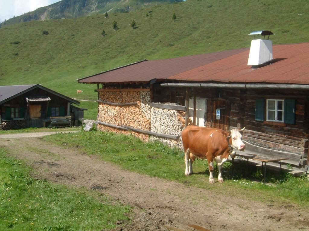 Haus Brugglbach Appartamento Kirchberg in Tirol Esterno foto