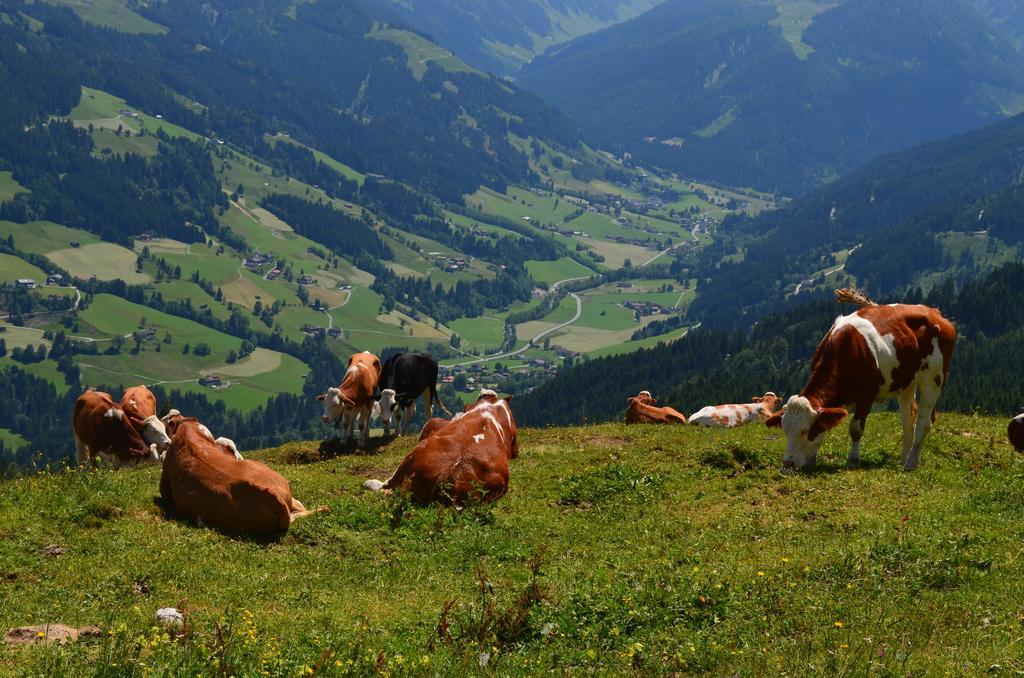 Haus Brugglbach Appartamento Kirchberg in Tirol Esterno foto